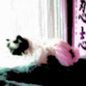 Meet your Posher, Jack